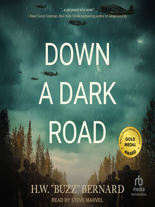 Title details for Down a Dark Road by H.W. "Buzz" Bernard - Wait list